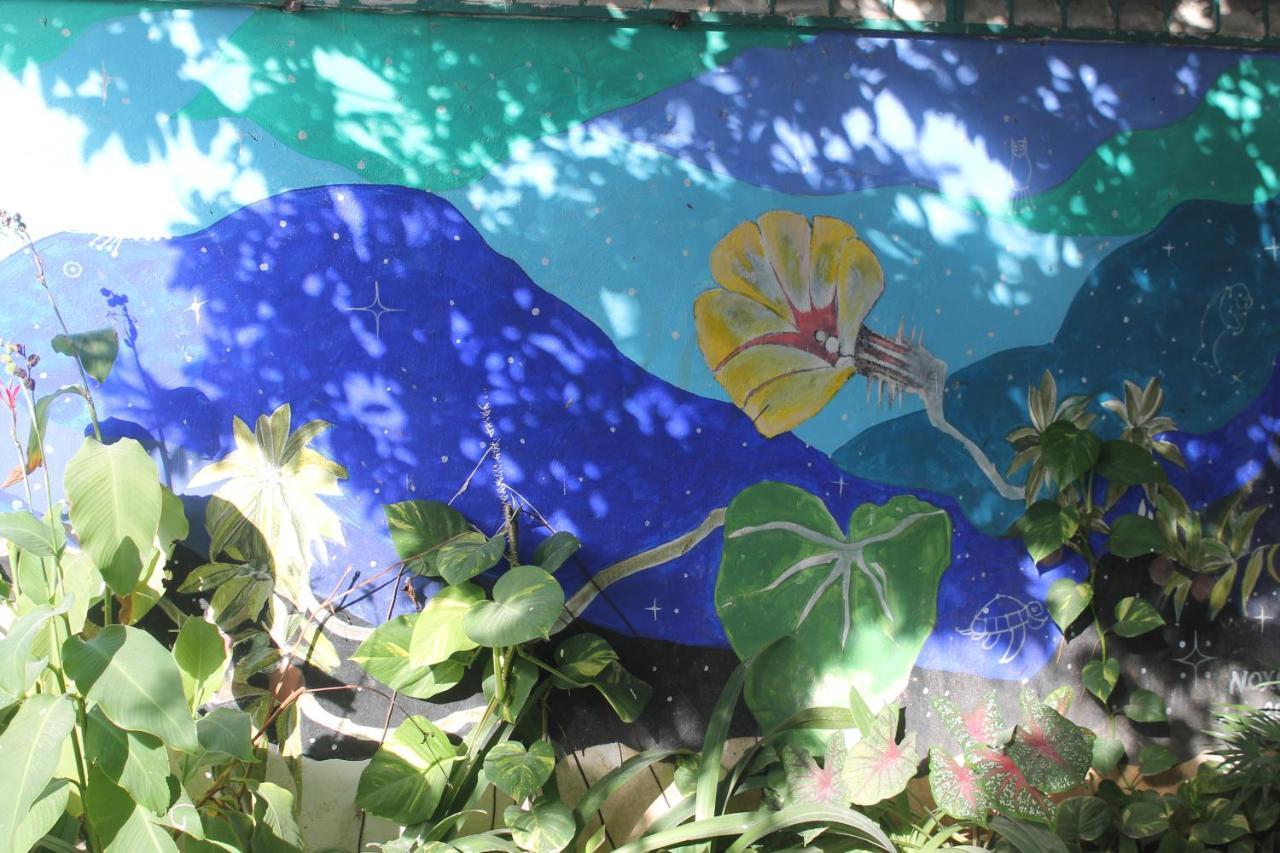 Hotel Szapot Bacalar Dış mekan fotoğraf