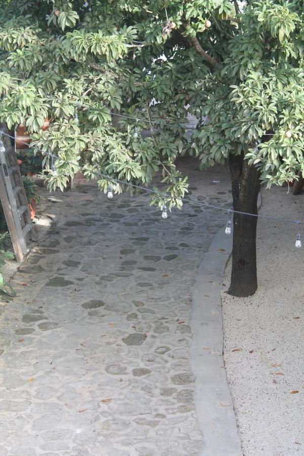 Hotel Szapot Bacalar Dış mekan fotoğraf
