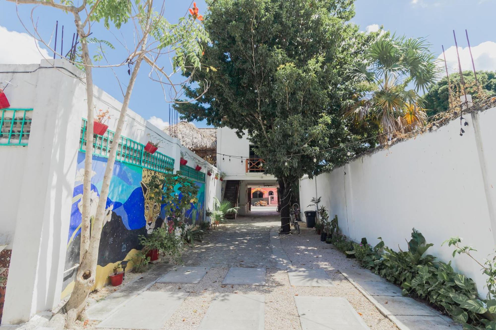 Hotel Szapot Bacalar Dış mekan fotoğraf